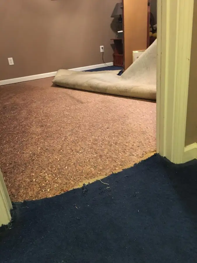 Carpet pad removal revealing water damage during Water Mitigation Services in Brooklyn Center